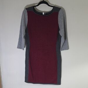 NY Collection Red and Gray Sheath Dress with Raglan Sleeves